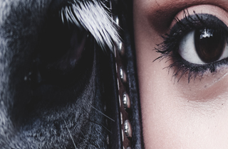 horses and healing youth at risk